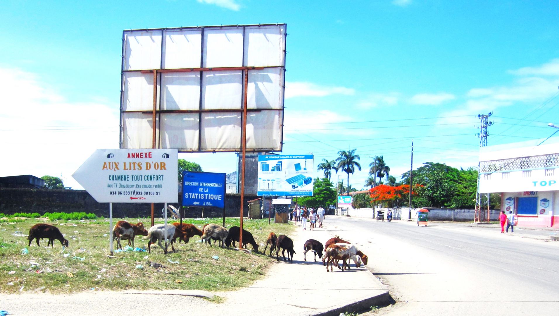 マダカスカル島 トアマシナ
